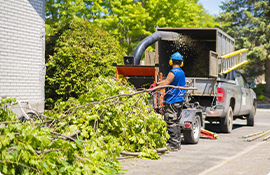 Tree Service, Home