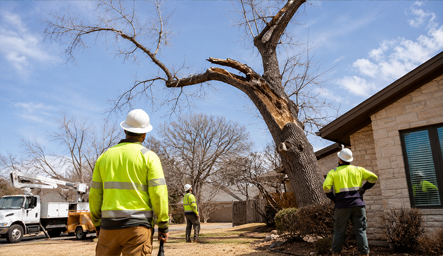 Professional tree removal crew evaluating a severely damaged and split tree leaning dangerously close to a residential house, with a tree service truck and crane parked in the background.