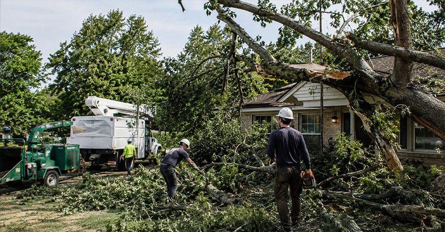 A residential home and yard undergoing severe storm damage recovery, featuring broken tree branches being cleared after a major storm.