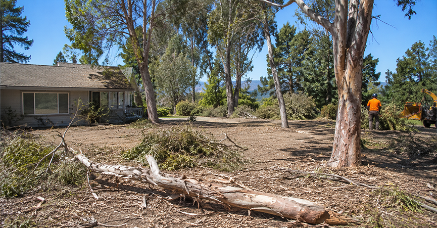 A large cleared property in the United States showcasing fire mitigation and brush removal near a residential home, featuring down logs and a worker using a wood chipper to clear shedding tree species.